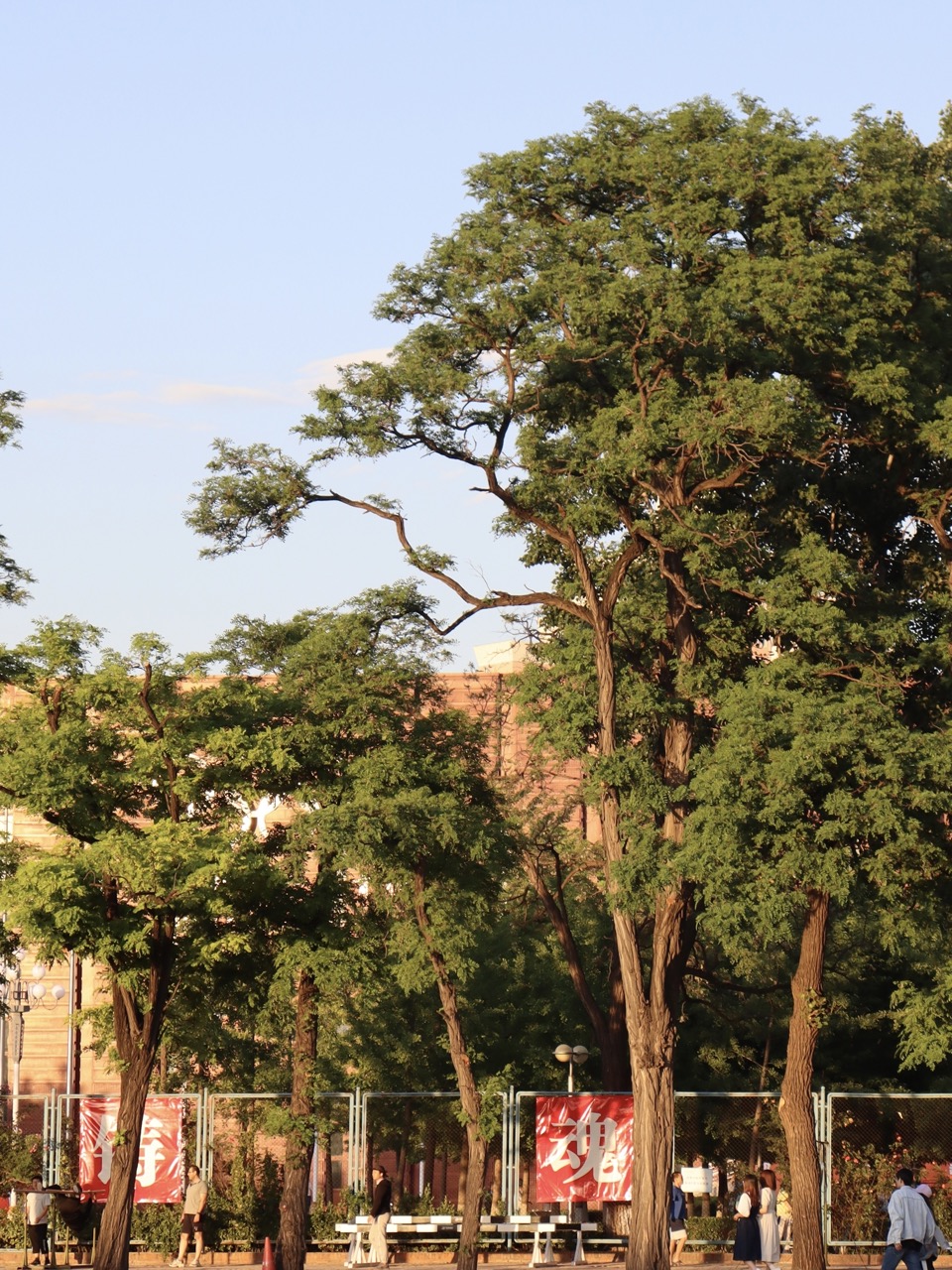 University of Science and Technology Beijing